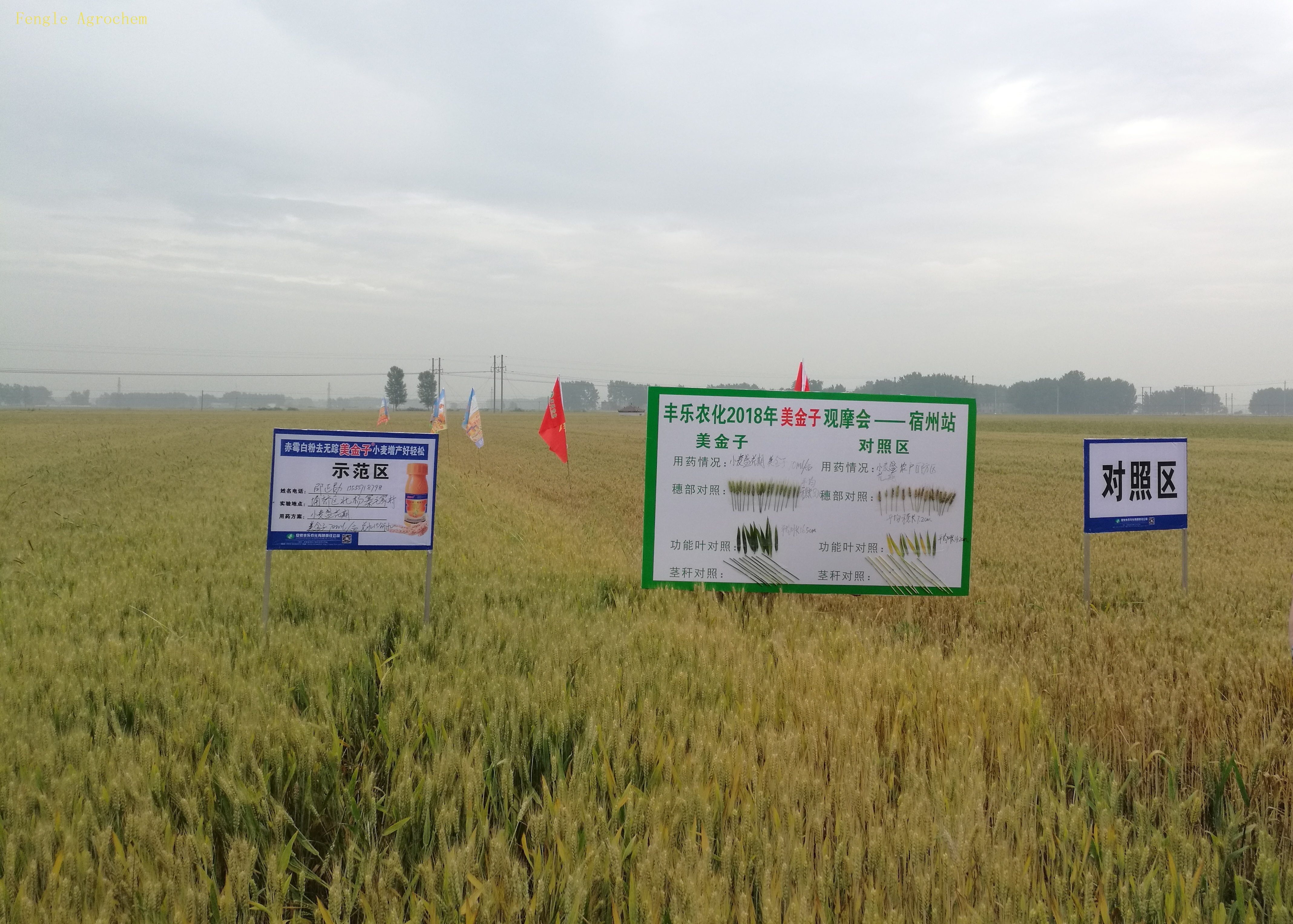 AG旗舰厅·(中国)官方网站