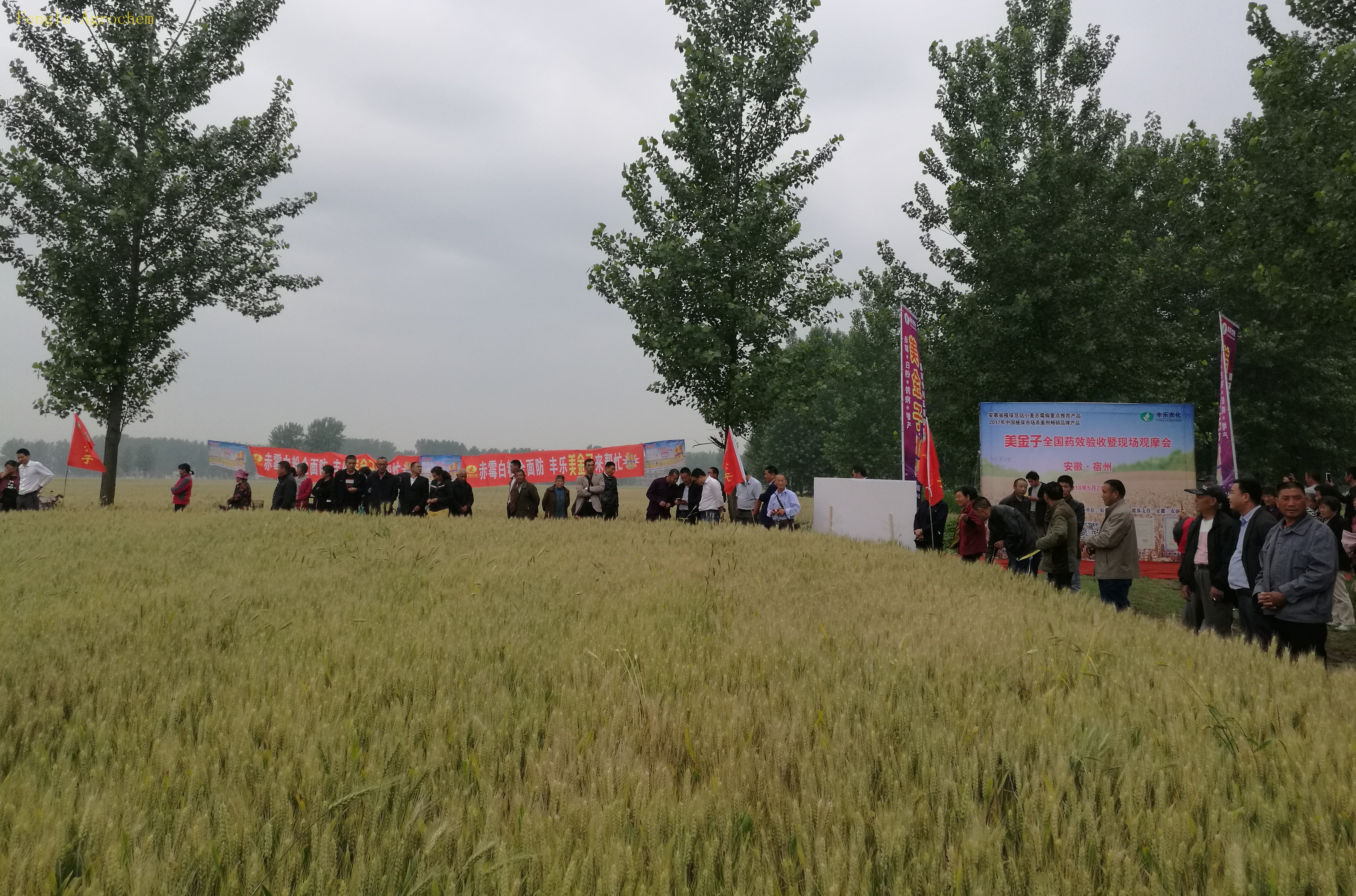 AG旗舰厅·(中国)官方网站