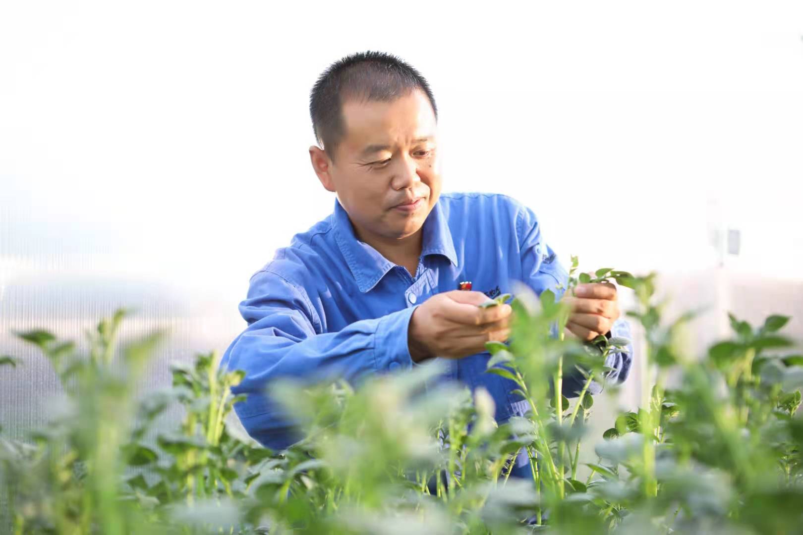 AG旗舰厅·(中国)官方网站